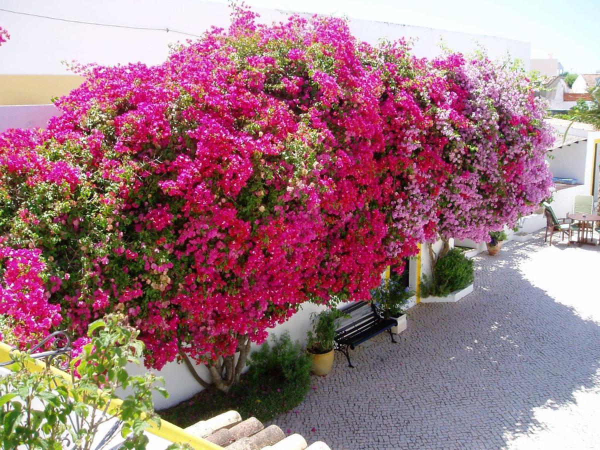 Rio Arade Algarve Manor House Ξενοδοχείο Estômbar Εξωτερικό φωτογραφία