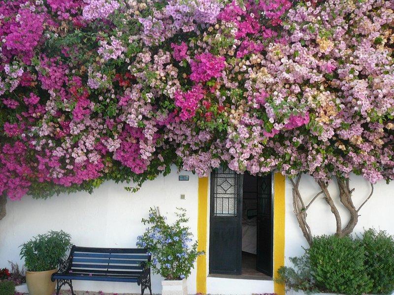 Rio Arade Algarve Manor House Ξενοδοχείο Estômbar Εξωτερικό φωτογραφία