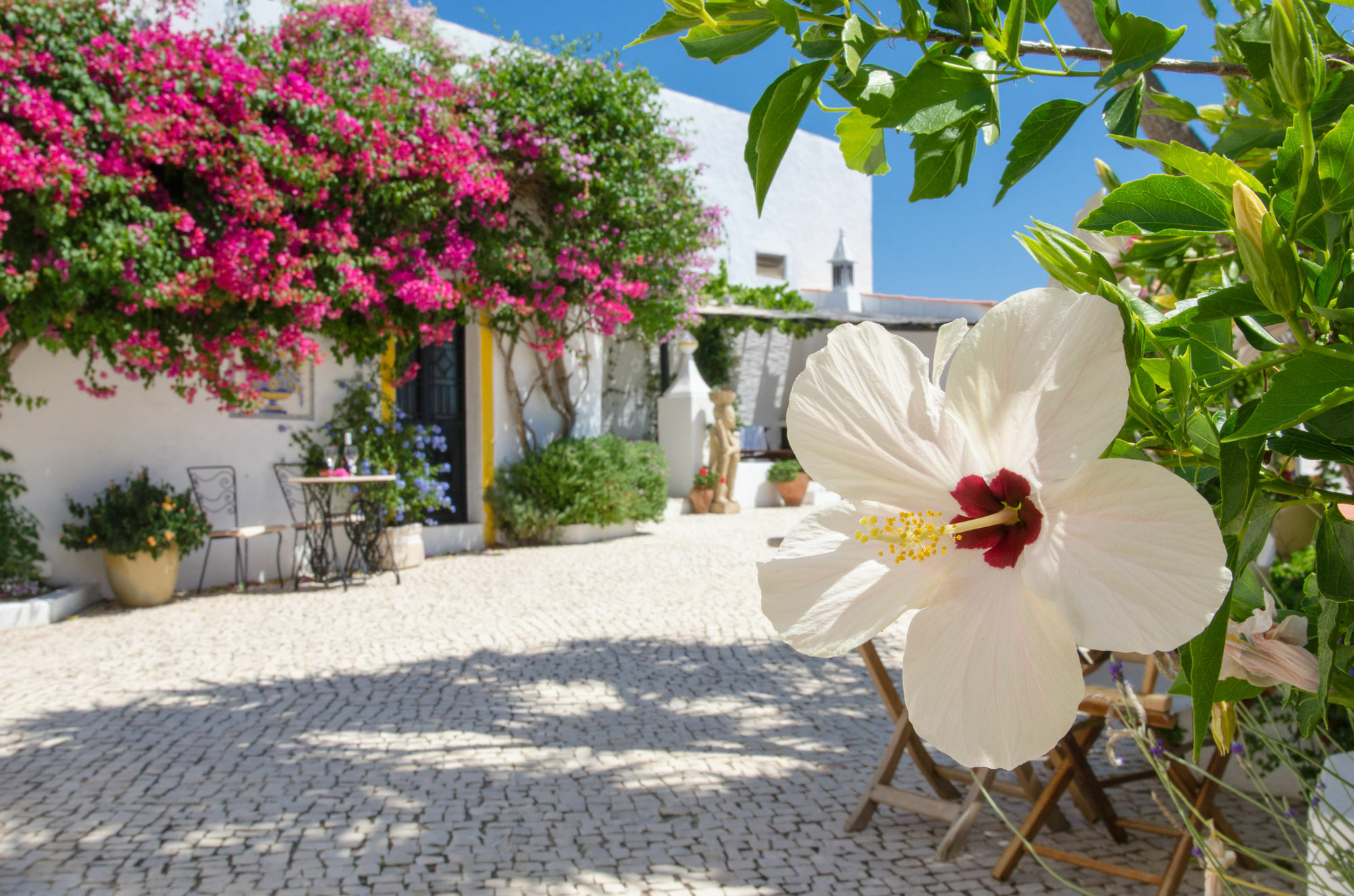 Rio Arade Algarve Manor House Ξενοδοχείο Estômbar Εξωτερικό φωτογραφία